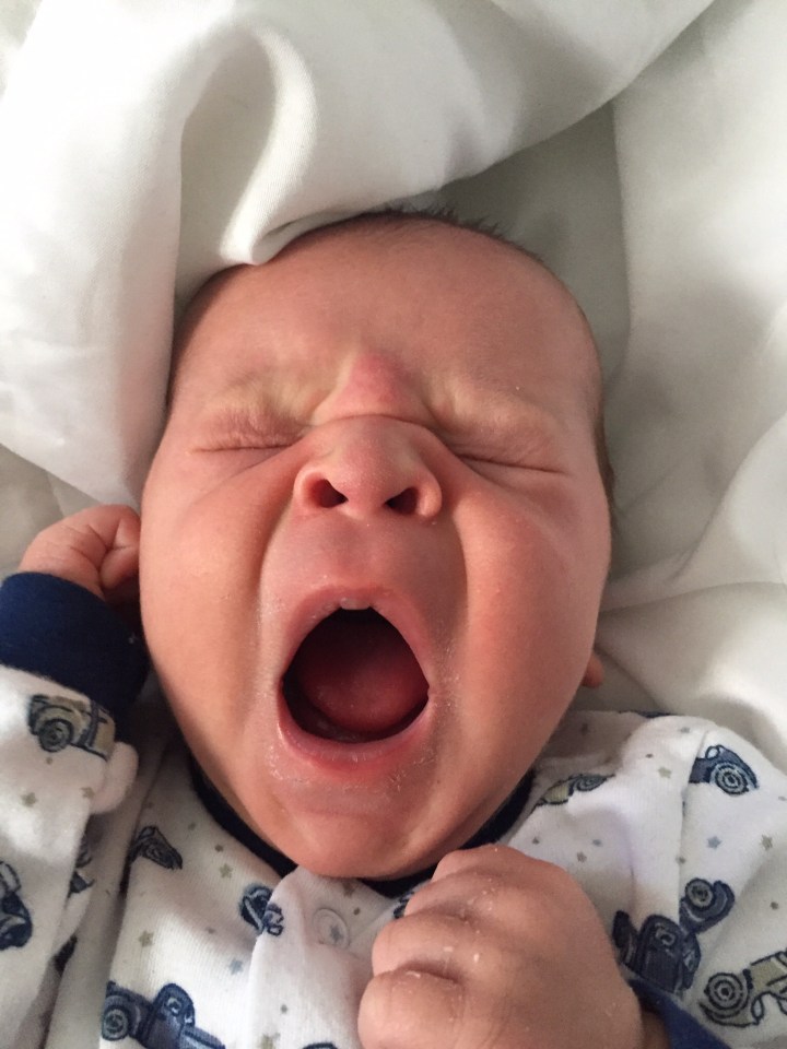 The Aspring Sleeper: My Failed Attempts at Getting a Full 8&nbsp;Hours