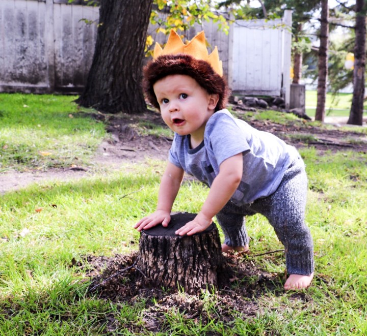 Happy Birthday, Wild&nbsp;One